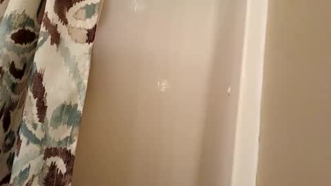 Snapshot of jaywulf22 chatting on November 2025 04:33:02 AM jaywulf22 online show from November 2025 04:33:02 AM