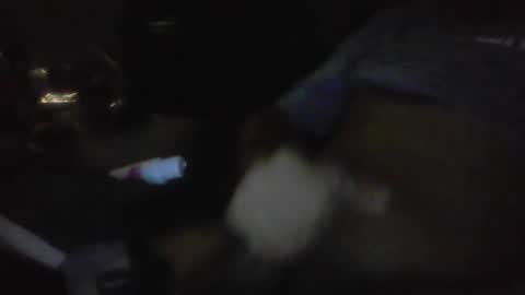 Snapshot of jaywulf22 chatting on January 2026 05:23:02 AM jaywulf22 online show from January 2026 05:23:02 AM