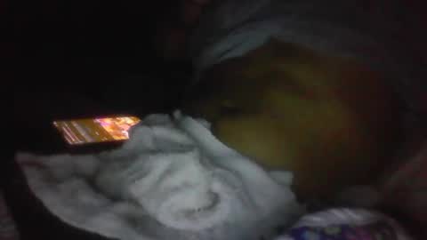 Snapshot of jaywulf22 chatting on January 2026 05:11:02 AM jaywulf22 online show from January 2026 05:11:02 AM