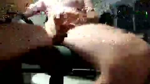 jedogacb online show from July 2026 10:34:01 PM