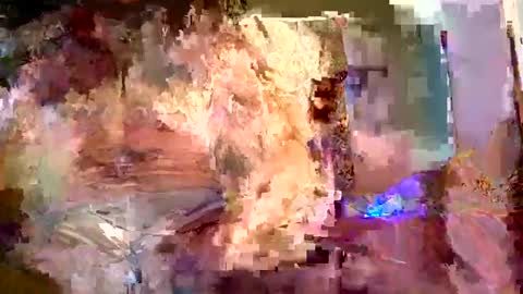 jedpiazza163893 online show from January 2026 01:48:02 PM