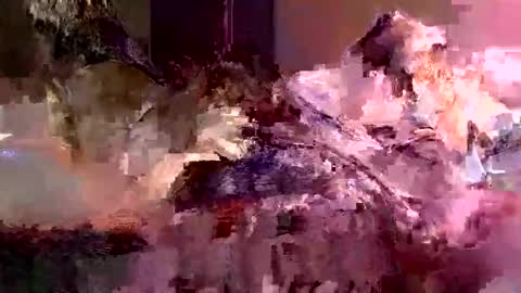 jedpiazza163893 online show from May 2026 04:31:01 AM