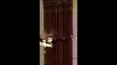 jedpiazza163893 online show from May 2026 07:36:02 AM