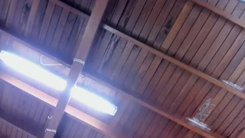 jeicob gagnon online show from January 2025 04:30:01 PM