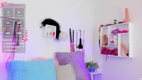 Tokio online show from January 2025 02:29:01 AM