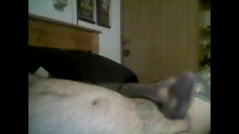 Snapshot of jerkmate6666 chatting on September 2025 11:50:02 PM jerkmate6666 online show from September 2025 11:50:02 PM
