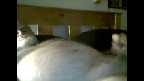 jerkmate6666 online show from May 2026 03:56:01 AM