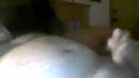 Snapshot of jerkmate6666 chatting on July 2026 06:28:01 AM jerkmate6666 online show from July 2026 06:28:01 AM