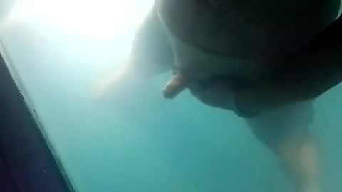 Uncut thick 5 online show from March 2026 11:59:02 AM