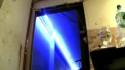 Snapshot of jhkhjku538466 chatting on February 2025 04:09:02 AM jhkhjku538466 online show from February 2025 04:09:02 AM