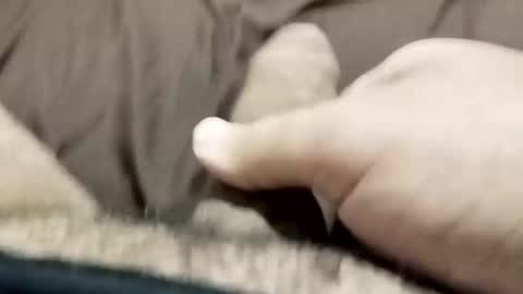 Snapshot of jj3377 chatting on October 2025 06:08:01 AM jj3377 online show from October 2025 06:08:01 AM