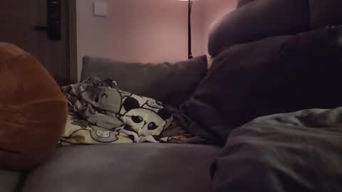 jj_jayjayq online show from February 2026 12:19:01 PM