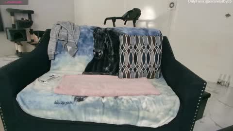 Snapshot of jjjust4fun1985 chatting on January 2025 01:27:02 AM Nicole Allen online show from January 2025 01:27:02 AM