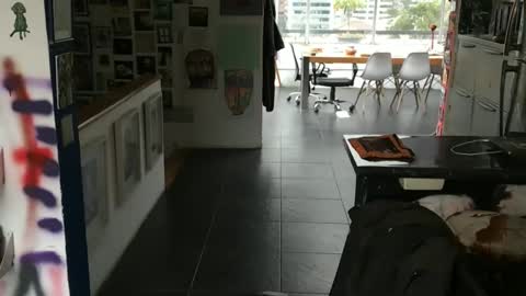 Snapshot of jjose978249 chatting on February 2026 11:02:02 PM jjose978249 online show from February 2026 11:02:02 PM