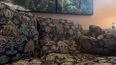 jlk7777 online show from February 2026 05:17:02 PM