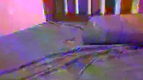 tip me online show from February 2025 10:29:01 AM