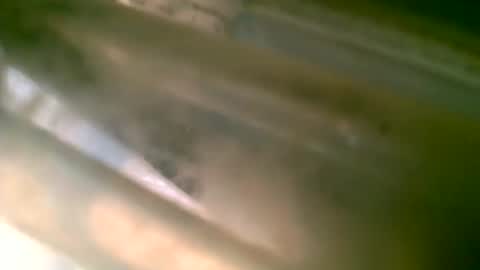 jlz2695 online show from March 2026 08:27:02 PM