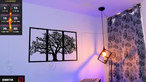 IGJmortton online show from February 2025 02:13:02 PM