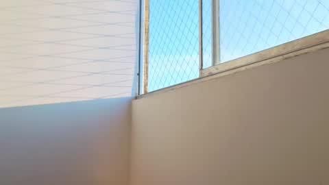 Joel Callvil online show from January 2026 11:59:02 AM