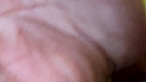 Razorbackvet online show from February 2026 03:46:01 AM