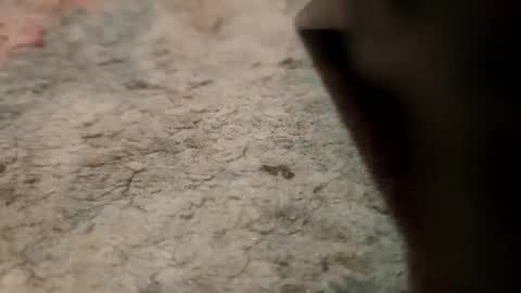 Snapshot of joemancini643 chatting on September 2025 02:13:02 AM joemancini643 online show from September 2025 02:13:02 AM