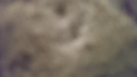 joemomma612 online show from October 2025 03:40:02 AM