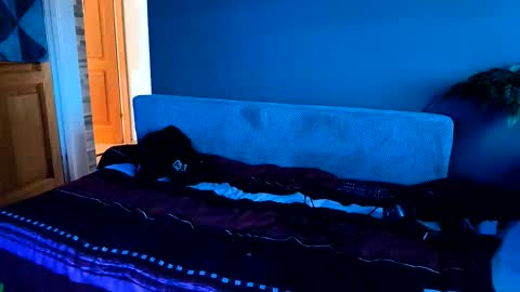 Snapshot of joffrey69v420 chatting on November 2025 07:41:02 AM - Quantum - online show from November 2025 07:41:02 AM