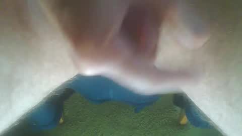 Snapshot of john_death chatting on October 2025 10:16:02 AM John Death online show from October 2025 10:16:02 AM