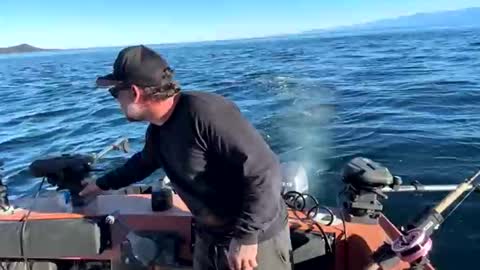 Snapshot of johnandmarie_ chatting on October 2025 11:13:01 PM johnandmarie_ online show from October 2025 11:13:01 PM