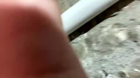 Johnny online show from January 2025 06:23:01 PM