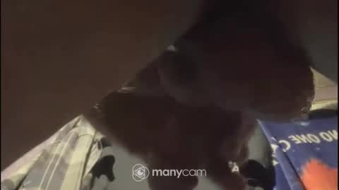 johnnyshung1 online show from February 2025 01:08:02 PM