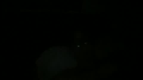 John Ukber online show from December 2024 12:45:02 AM