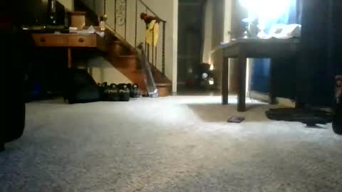 Johnynasty87 online show from June 2026 04:27:01 AM