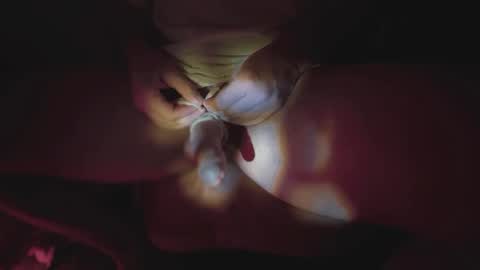 Snapshot of jonahshyfap chatting on January 2025 02:22:02 AM jonahshyfap online show from January 2025 02:22:02 AM