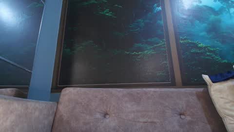 Snapshot of jonas_smith1 chatting on January 2025 12:25:01 AM Jonas online show from January 2025 12:25:01 AM