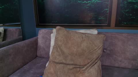 Snapshot of jonas_smith1 chatting on February 2025 07:22:02 PM Jonas online show from February 2025 07:22:02 PM