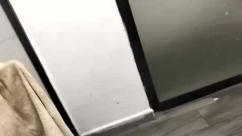 Snapshot of jondick64 chatting on September 2025 06:59:01 AM jondick64 online show from September 2025 06:59:01 AM