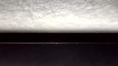 John loves pussy online show from March 2026 03:30:02 AM