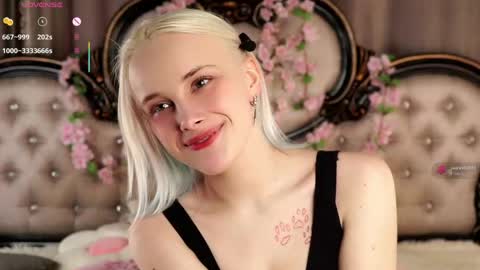 Alice online show from April 2026 11:08:02 AM