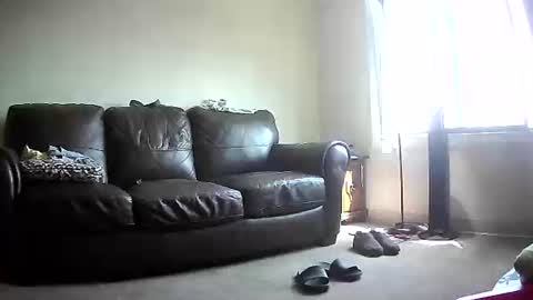 John online show from June 2026 04:07:01 PM