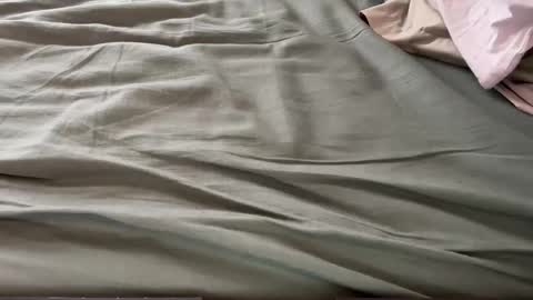 Maximo online show from March 2026 01:51:01 PM