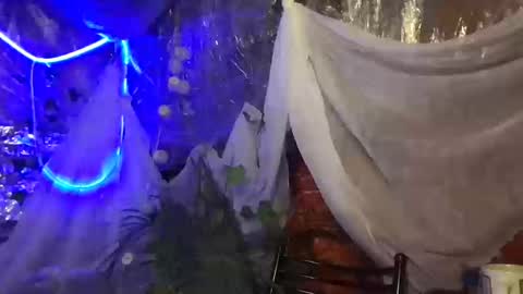 Snapshot of jony_marta chatting on October 2025 02:51:02 PM Jony Marta GMT 2000-0100 every day online show from October 2025 02:51:02 PM