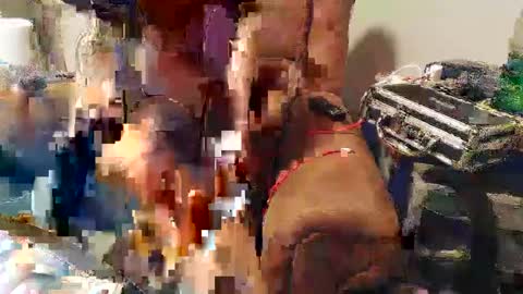 Josef online show from January 2025 11:10:01 PM