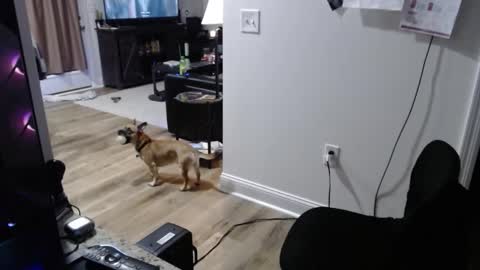 Josef online show from January 2026 02:05:02 AM