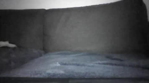 Hentai Jo online show from December 2024 07:15:02 PM