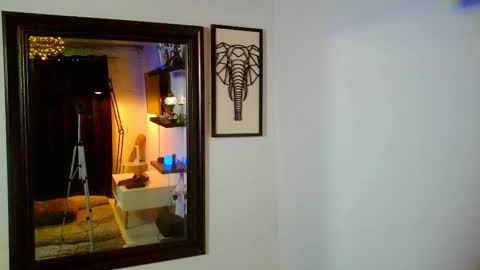 Jose Meireles online show from February 2025 07:44:02 PM