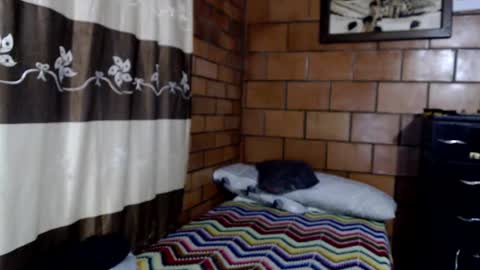 joseph online show from October 2025 03:07:02 AM