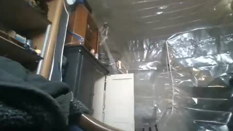 Snapshot of josephung1 chatting on November 2025 05:32:02 AM sissy josphine online show from November 2025 05:32:02 AM