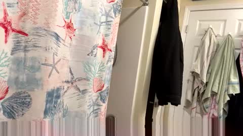 Snapshot of josephung1 chatting on February 2026 03:37:01 AM sissy josphine online show from February 2026 03:37:01 AM