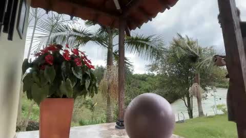 Im Jouliano online show from November 2025 08:05:01 PM